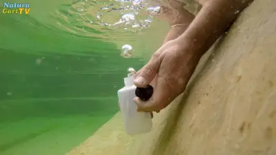 Kurz-Info - So nimmt man eine Wasserprobe